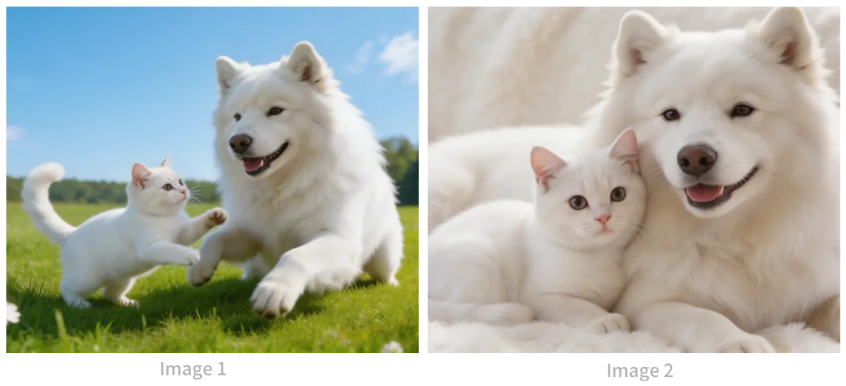 Cat & Dog Reference Images